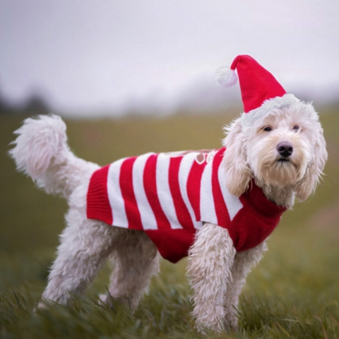 Julesweater m. striber